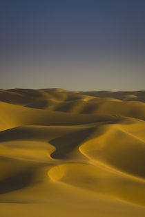 Golden Dunes, Swakopmund von Russell Bevan Photography