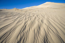 sand dune ripples by Ed Book