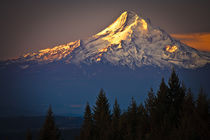 Mount Hood morning alpenglow von Ed Book