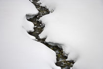 Stream Flows in Winter by Ed Book