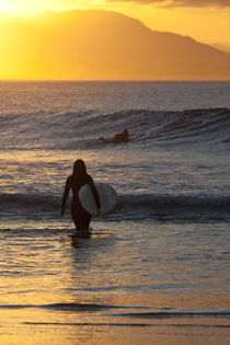 Sunset Surfer Girl by Mike Greenslade
