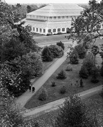 Kew Gardens, London by Artyom Liss
