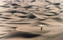Saharan Hanglider by Mike Greenslade