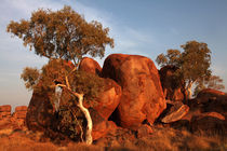 The Devil's Marbles by Mike Greenslade