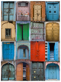 Doors of India by James Menges