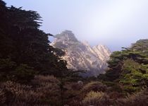 Point Lobos #5 von Ken Dvorak