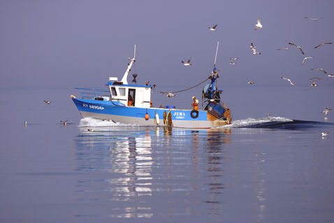 Boat-gulls1686