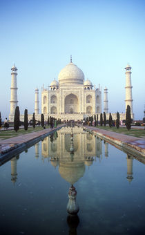 Morning Taj Mahal by Mike Greenslade