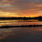 Rice-paddy-at-sunset-0393