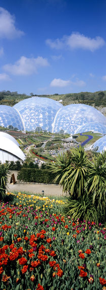 The Eden Project by Mike Greenslade