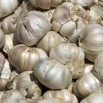 Garlic by James Menges