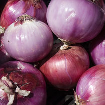 Onions von James Menges