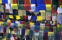 Prayer flags, Lumbini von Mike Greenslade