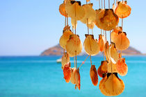 Dangling Shells in a Wind Chime by Ian C Whitworth