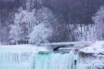 Niagara Winter US Falls & Bridge von Ian C Whitworth