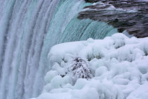 Niagara Falls Winter at the Brink by Ian C Whitworth
