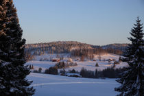 Wintersonne in Schweden by Intensivelight Panorama-Edition