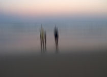 Stillness & Motion by Kitsmumma Fine Art Photography