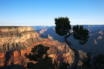 Grand Canyon / Arizona von Benjamin Hiller