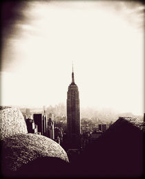 Empire State Building by Tracey  Tomtene