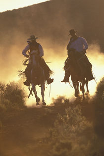 NA, USA, Oregon, Seneca, Ponderosa Ranch Cowboys riding in dust  MR PR by Danita Delimont