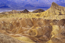 California: Death Valley NP, view from Zabriskie Point. von Danita Delimont