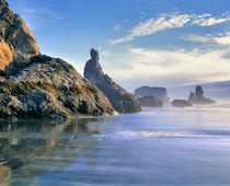 USA, Oregon, Face Rock Wayside by Danita Delimont