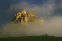 Spissky hrad in mist, Slovakia by Danita Delimont