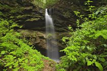 Waterfalll falling into sink, Whiteoak Sink, Great Smoky Mountains National Park by Danita Delimont