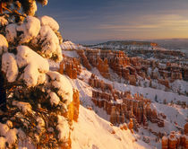 USA, Utah, Bryce Canyon NP by Danita Delimont