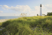 Bill Baggs Cape Florida Lighthouse Bill Baggs Cape Florida State Park von Danita Delimont