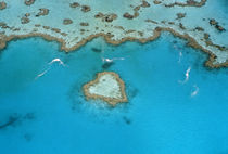 Australia, Queensland, The Whitsunday Islands by Danita Delimont