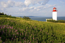 Lighthouse at St. Martins, New Brunswick, Canada by Danita Delimont
