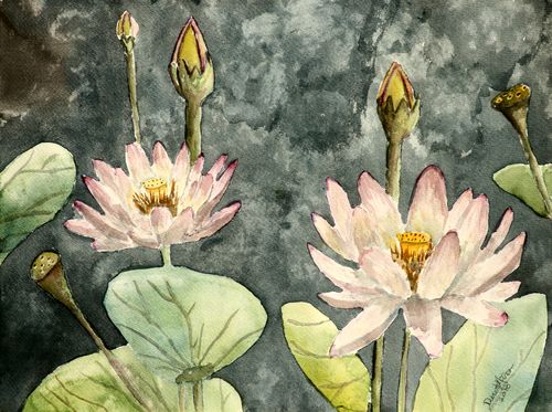 Lotus-flower-large