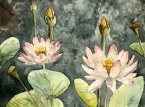 lotus flower by Derek McCrea
