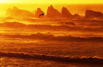 USA, Oregon, Bandon. Sunset over waves and sea stacks. Credit as von Danita Delimont