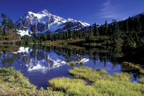 USA, WA, Heather Meadows RA. Mount Shuksan reflected in Picture Lake. von Danita Delimont