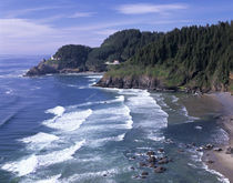 OR, Oregon Coast, Heceta Head Lighthouse by Danita Delimont