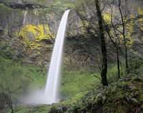 OR, Columbia River Gorge, Elowah Falls, McCord Creek plunges 289 feet von Danita Delimont