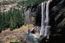 North America, USA, California, Yosemite NP Vernal falls by Danita Delimont