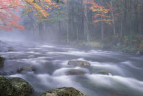 USA, New York, Adirondacks, Big Moose River rapids in Fall. Credit as von Danita Delimont