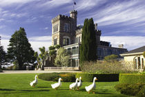 Larnach Castle, Otago Peninsula, Dunedin, South Island, New Zealand by Danita Delimont