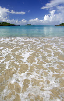 Caribbean, U.S. Virgin Islands, St.Thomas, Magens Bay. by Danita Delimont