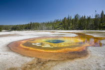 WY, Yellowstone National Park, Upper Geyser Basin, Chromatic Pool von Danita Delimont