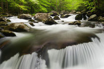 USA; Tennessee; Great Smoky Mountain NP; Cascade in Middle Prong  Little River von Danita Delimont