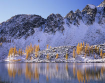 WA, Okanogan NF, Upper Eagle Lake and Sawtooth Ridge with golden Larch trees by Danita Delimont
