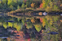 Shoreline reflection, Lily Pond, White Mountain National Forest, New Hampshire von Danita Delimont