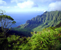 USA, Kauai, Hawaii. View above the Na Pali Coast. Credit as