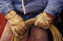 N.A., USA, Oregon, Seneca, Ponderosa Ranch Cowboy and his rope M.R. by Danita Delimont
