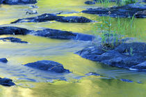 Summer reflections in the waters of the Lamprey River below Lee-Hook Road by Danita Delimont